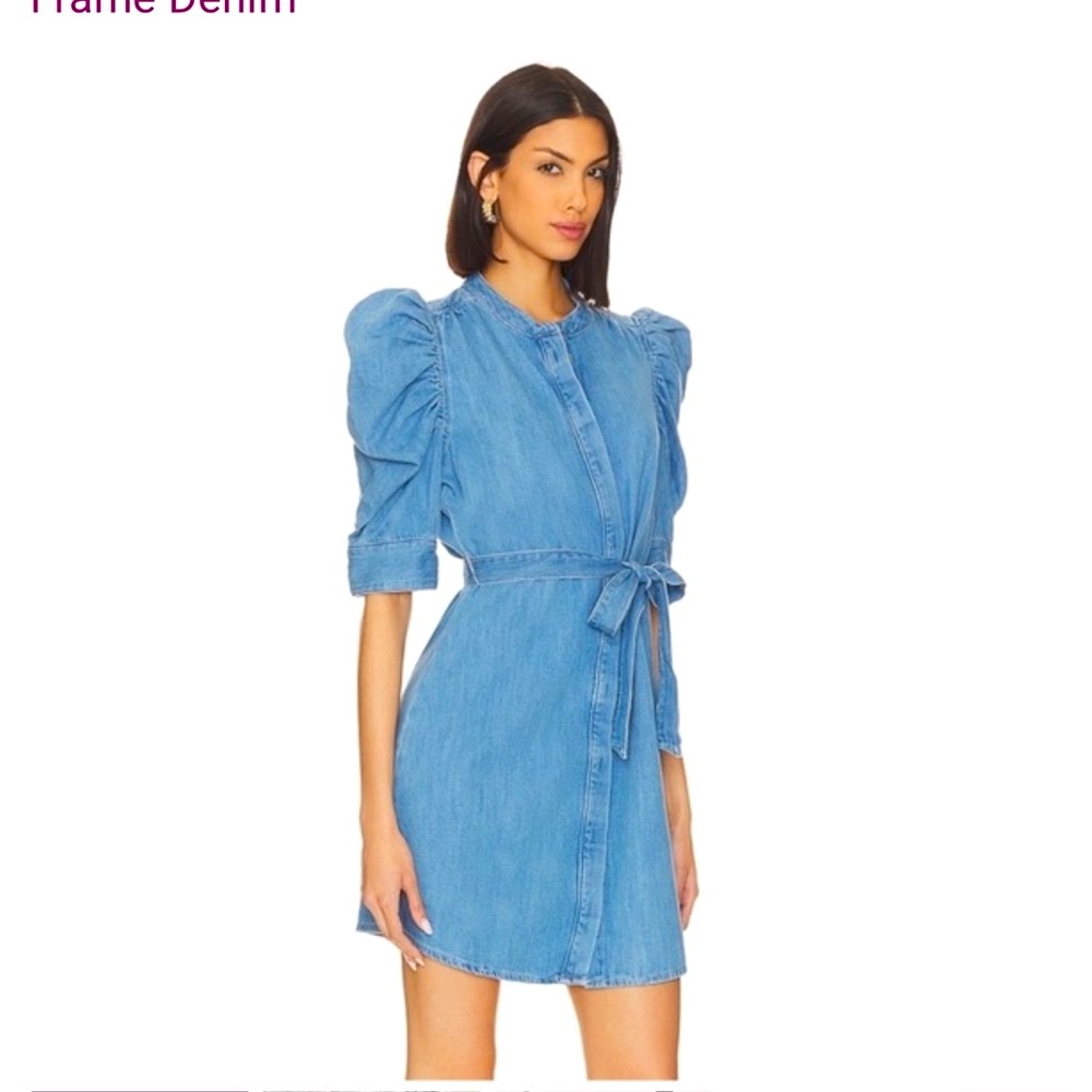 Frame Gillian Denim Blue Mini Dress